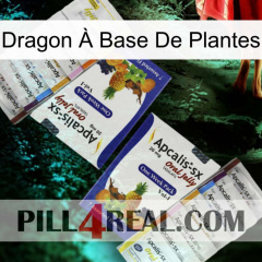 Dragon À Base De Plantes 12